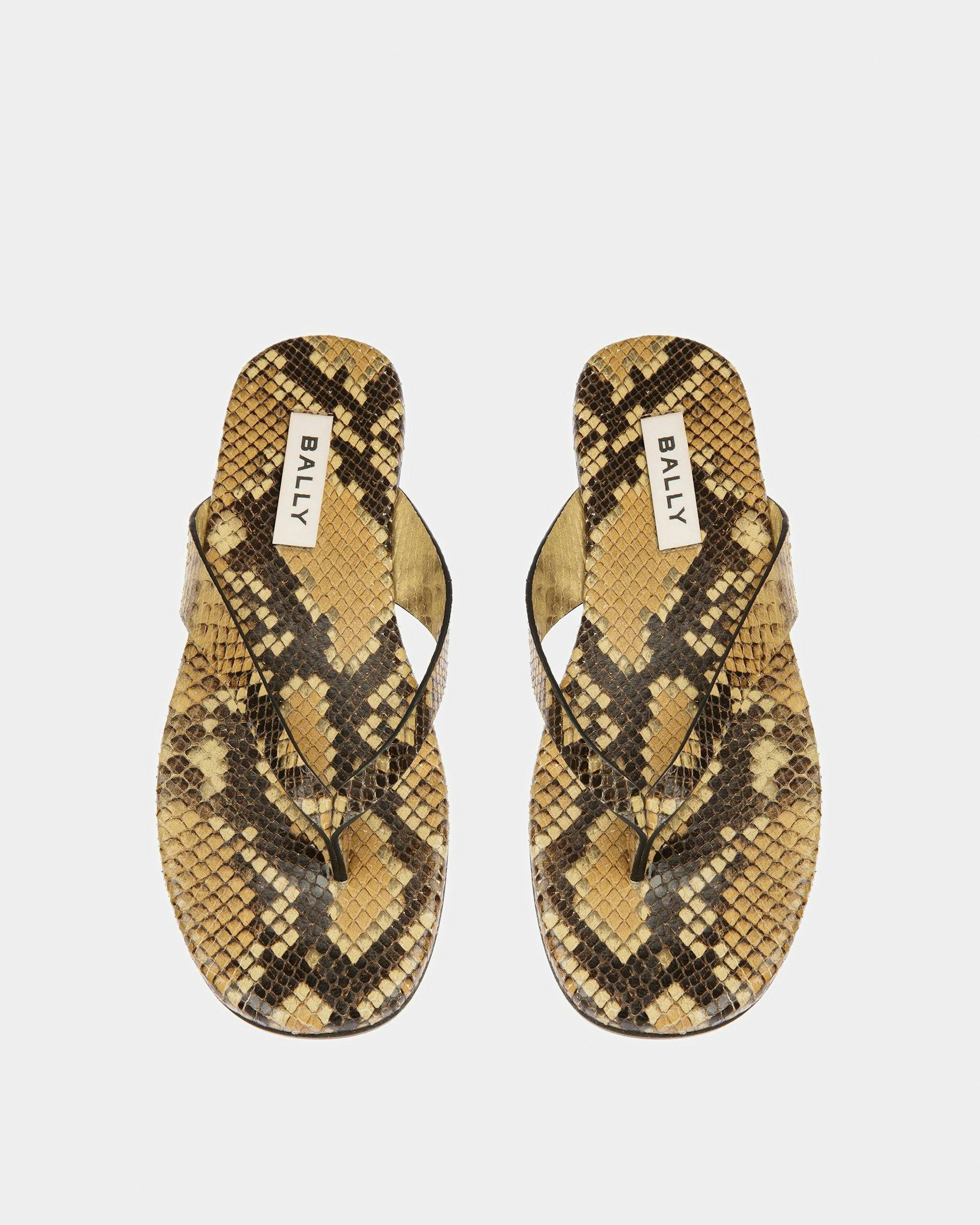 San Fernando Thong Sandals In Python Print - Men's - Bally - 02