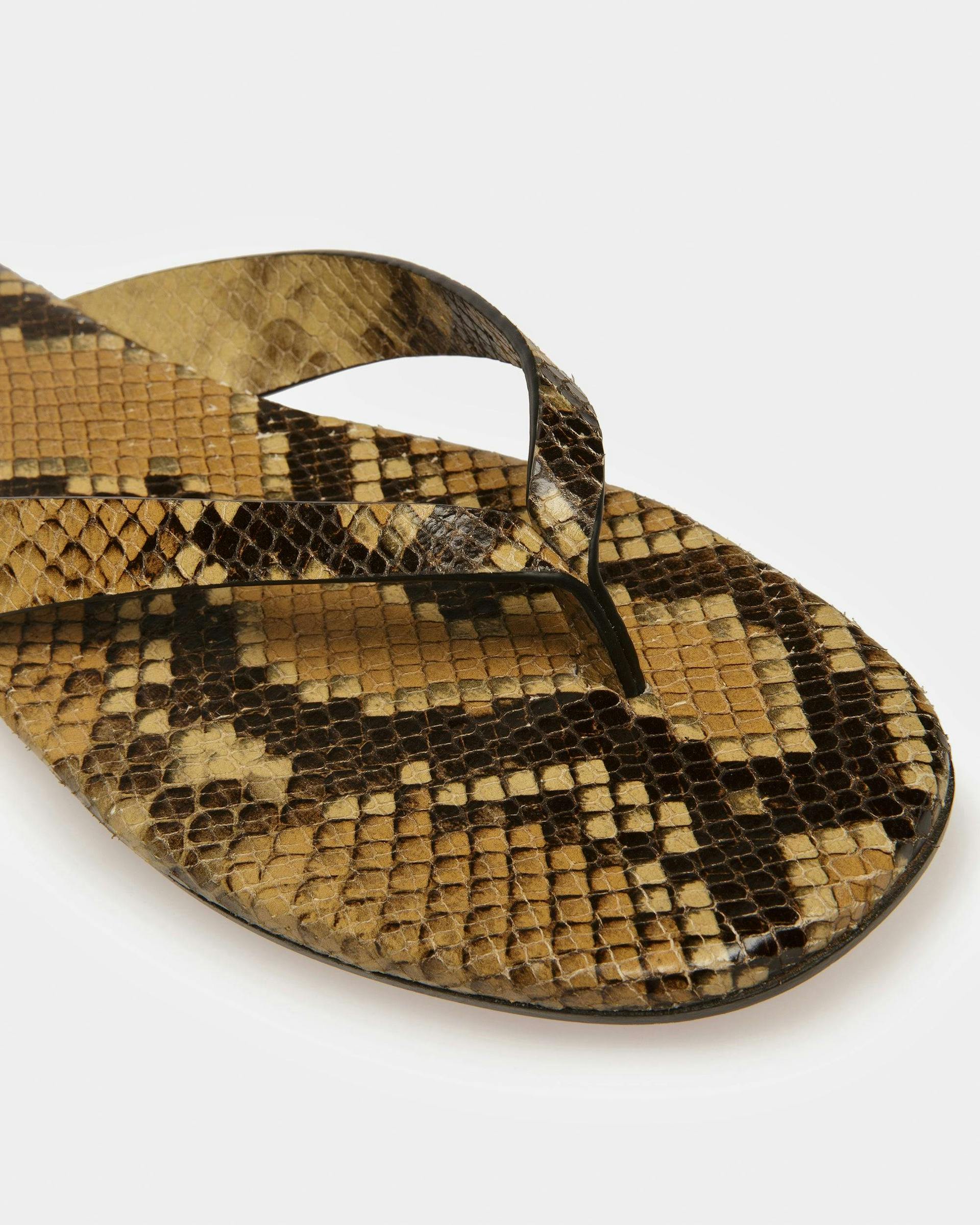 San Fernando Thong Sandals In Python Print - Men's - Bally - 05