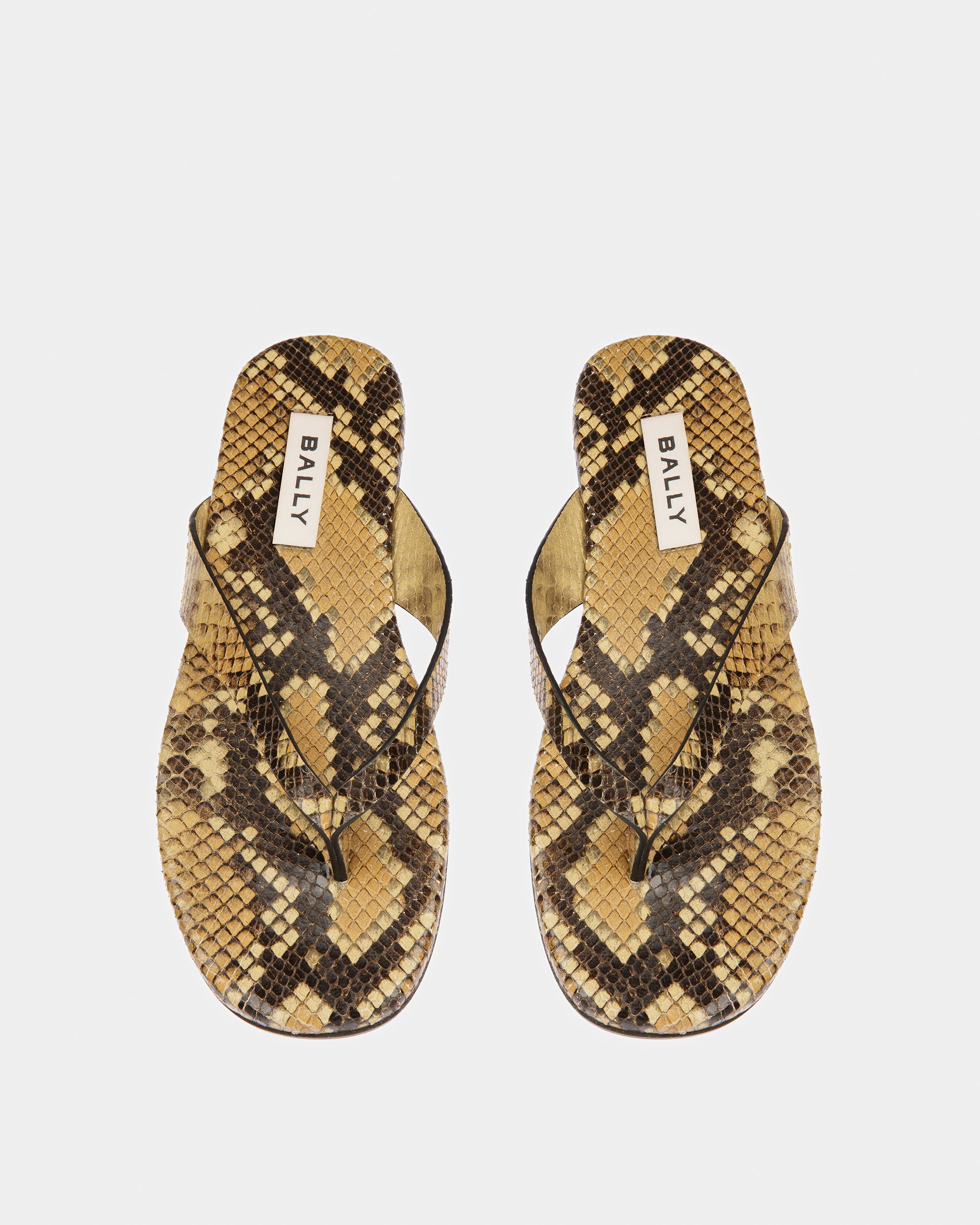 San Fernando Thong Sandals In Python Print - Men's - Bally - 02